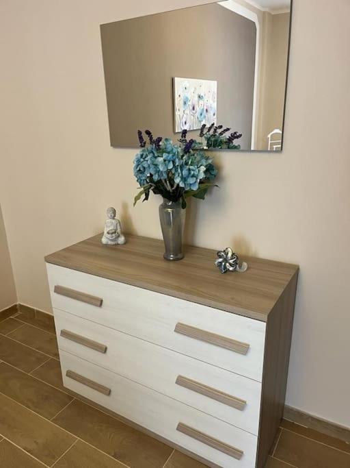 Attico Briccarello -Intero Appartamento- Elegant Suite With Free Wifi Near Inalpi Arena And Sporting Club Torino-Olimpyc Stadium Exteriér fotografie